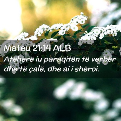 Picture 02 - Mateu 21:14 ALB - Atëherë iu paraqitën të verbër dhe të - Bible Verse Picture