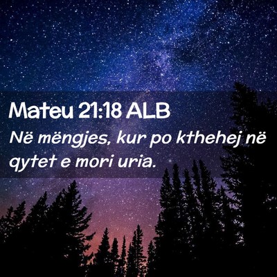 Picture 02 - Mateu 21:18 ALB - Në mëngjes, kur po kthehej në qytet e mori - Bible Verse Picture