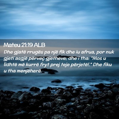 Picture 02 - Mateu 21:19 ALB - Dhe gjatë rrugës pa një fik dhe iu afrua, por - Bible Verse Picture