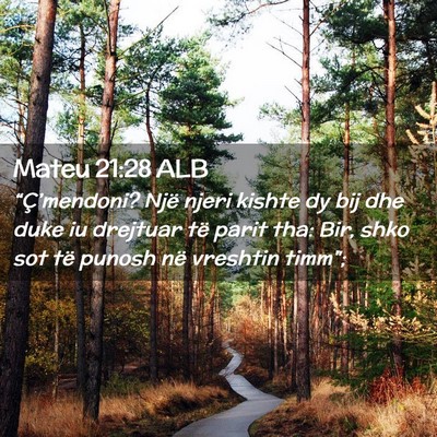 Picture 02 - Mateu 21:28 ALB - “Ç’mendoni? Një njeri kishte dy bij dhe - Bible Verse Picture