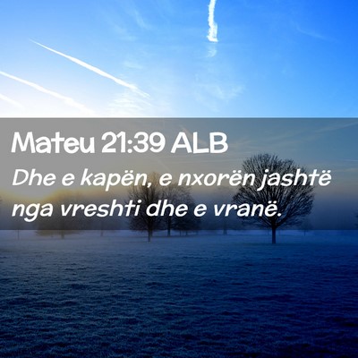 Picture 02 - Mateu 21:39 ALB - Dhe e kapën, e nxorën jashtë nga vreshti dhe e - Bible Verse Picture