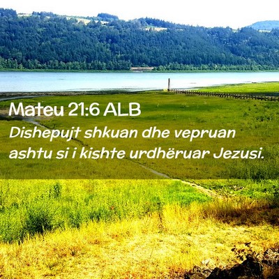 Picture 02 - Mateu 21:6 ALB - Dishepujt shkuan dhe vepruan ashtu si i kishte - Bible Verse Picture