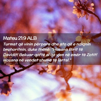 Picture 02 - Mateu 21:9 ALB - Turmat që vinin përpara dhe ato që e ndiqnin - Bible Verse Picture