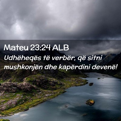 Picture 02 - Mateu 23:24 ALB - Udhëheqës të verbër, që sitni mushkonjën - Bible Verse Picture