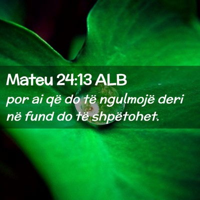 Picture 02 - Mateu 24:13 ALB - por ai që do të ngulmojë deri në fund do të - Bible Verse Picture