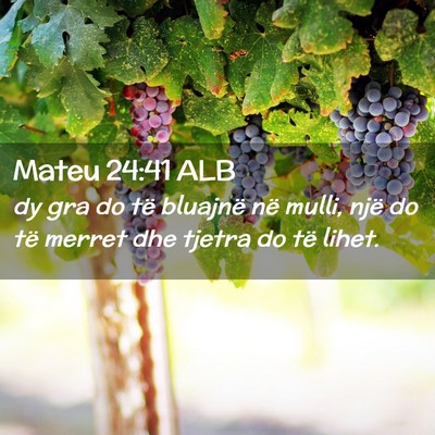 Picture 02 - Mateu 24:41 ALB - dy gra do të bluajnë në mulli, një do të - Bible Verse Picture