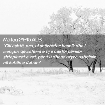 Picture 02 - Mateu 24:45 ALB - “Cili është, pra, ai shërbëtor besnik dhe i - Bible Verse Picture