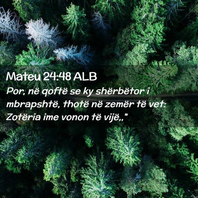 Picture 02 - Mateu 24:48 ALB - Por, në qoftë se ky shërbëtor i mbrapshtë, - Bible Verse Picture