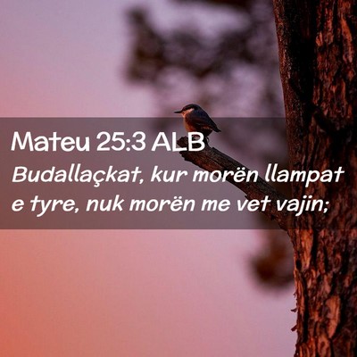 Picture 02 - Mateu 25:3 ALB - Budallaçkat, kur morën llampat e tyre, nuk - Bible Verse Picture