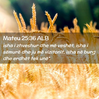 Picture 02 - Mateu 25:36 ALB - isha i zhveshur dhe më veshët, isha i sëmurë - Bible Verse Picture