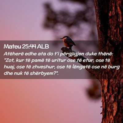 Picture 02 - Mateu 25:44 ALB - Atëherë edhe ata do t’i përgjigjen duke - Bible Verse Picture
