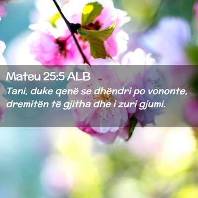 Picture 02 - Mateu 25:5 ALB - Tani, duke qenë se dhëndri po vononte, - Bible Verse Picture