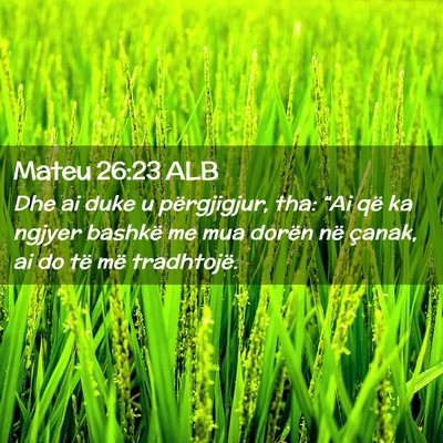 Picture 02 - Mateu 26:23 ALB - Dhe ai duke u përgjigjur, tha: “Ai që ka - Bible Verse Picture
