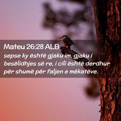 Picture 02 - Mateu 26:28 ALB - sepse ky është gjaku im, gjaku i besëlidhjes - Bible Verse Picture