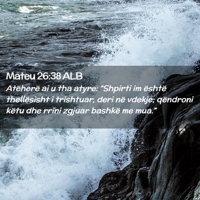Picture 02 - Mateu 26:38 ALB - Atëherë ai u tha atyre: “Shpirti im është - Bible Verse Picture