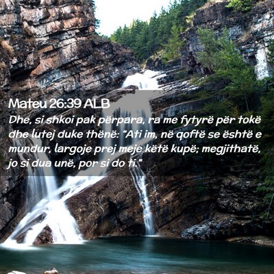 Picture 02 - Mateu 26:39 ALB - Dhe, si shkoi pak përpara, ra me fytyrë për - Bible Verse Picture