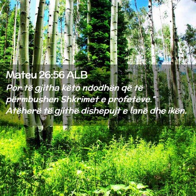 Picture 02 - Mateu 26:56 ALB - Por të gjitha këto ndodhën që të përmbushen - Bible Verse Picture