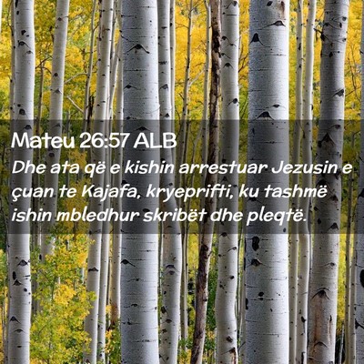 Picture 02 - Mateu 26:57 ALB - Dhe ata që e kishin arrestuar Jezusin e çuan te - Bible Verse Picture