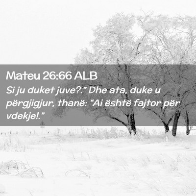 Picture 02 - Mateu 26:66 ALB - Si ju duket juve?.” Dhe ata, duke u - Bible Verse Picture