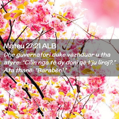 Picture 02 - Mateu 27:21 ALB - Dhe guvernatori duke vazhduar u tha atyre: - Bible Verse Picture