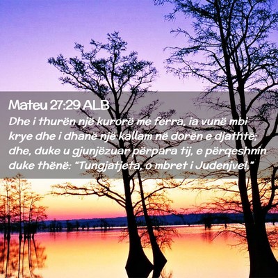 Picture 02 - Mateu 27:29 ALB - Dhe i thurën një kurorë me ferra, ia vunë mbi - Bible Verse Picture