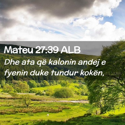 Picture 02 - Mateu 27:39 ALB - Dhe ata që kalonin andej e fyenin duke tundur - Bible Verse Picture