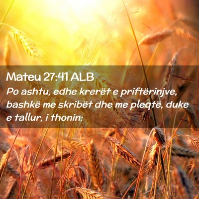 Picture 02 - Mateu 27:41 ALB - Po ashtu, edhe krerët e priftërinjve, bashkë - Bible Verse Picture