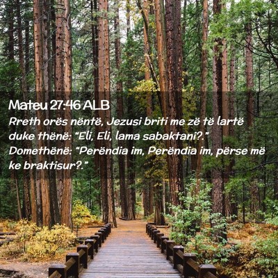 Picture 02 - Mateu 27:46 ALB - Rreth orës nëntë, Jezusi briti me zë të - Bible Verse Picture