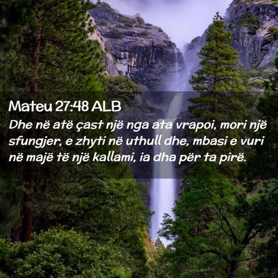 Picture 02 - Mateu 27:48 ALB - Dhe në atë çast një nga ata vrapoi, mori një - Bible Verse Picture