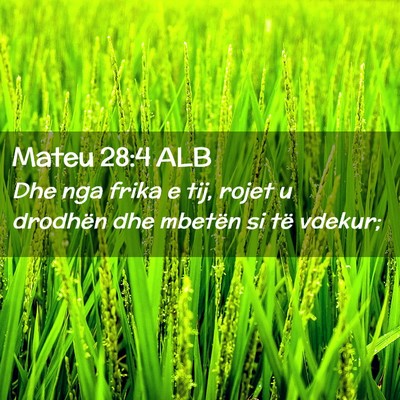 Picture 02 - Mateu 28:4 ALB - Dhe nga frika e tij, rojet u drodhën dhe mbetën - Bible Verse Picture