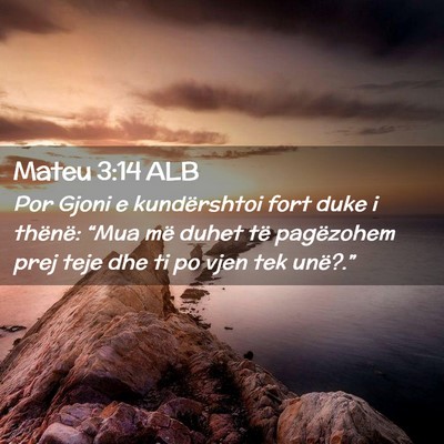 Picture 02 - Mateu 3:14 ALB - Por Gjoni e kundërshtoi fort duke i thënë: - Bible Verse Picture
