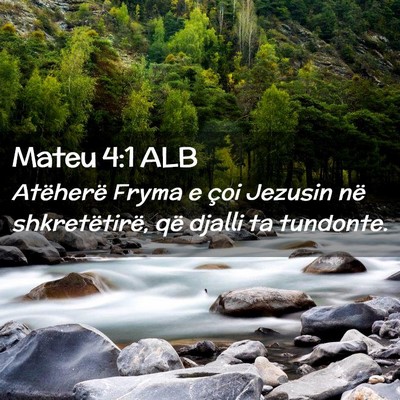 Picture 02 - Mateu 4:1 ALB - Atëherë Fryma e çoi Jezusin në shkretëtirë, - Bible Verse Picture