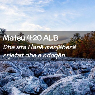 Picture 02 - Mateu 4:20 ALB - Dhe ata i lanë menjëherë rrjetat dhe e - Bible Verse Picture
