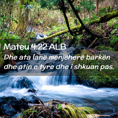 Picture 02 - Mateu 4:22 ALB - Dhe ata lanë menjëherë barkën dhe atin e tyre - Bible Verse Picture