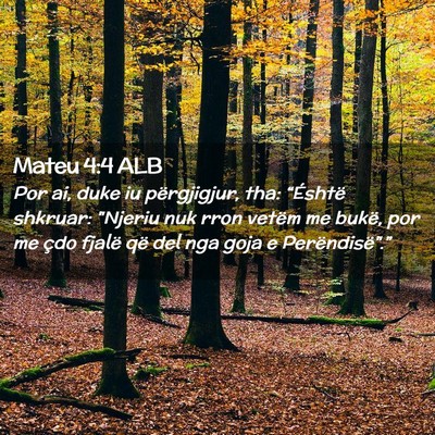 Picture 02 - Mateu 4:4 ALB - Por ai, duke iu përgjigjur, tha: “Éshtë - Bible Verse Picture