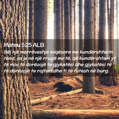 Picture 02 - Mateu 5:25 ALB - Bëj një marrëveshje miqësore me - Bible Verse Picture