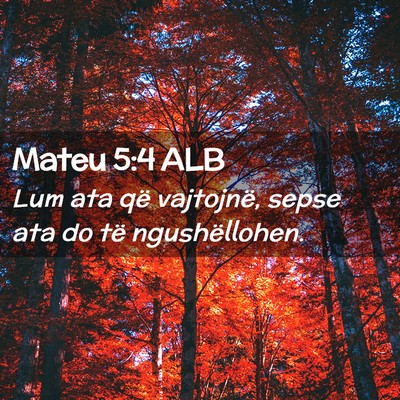 Picture 02 - Mateu 5:4 ALB - Lum ata që vajtojnë, sepse ata do të - Bible Verse Picture