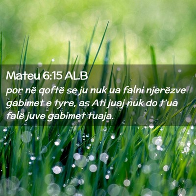 Picture 02 - Mateu 6:15 ALB - por në qoftë se ju nuk ua falni njerëzve - Bible Verse Picture