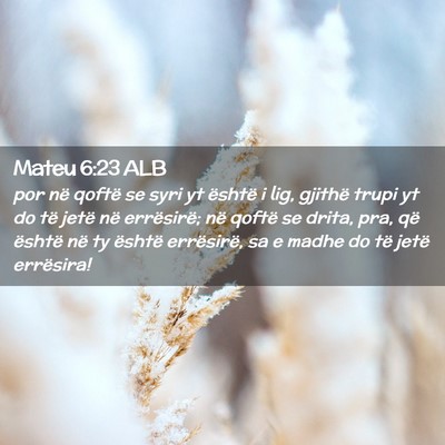 Picture 02 - Mateu 6:23 ALB - por në qoftë se syri yt është i lig, gjithë - Bible Verse Picture