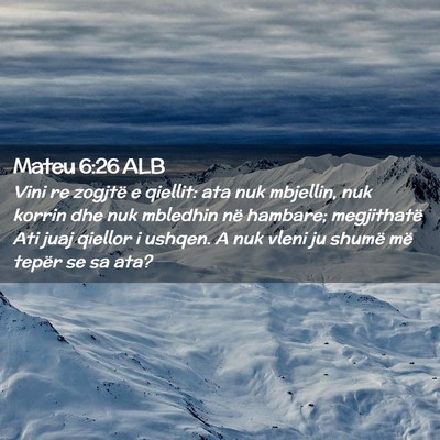 Picture 02 - Mateu 6:26 ALB - Vini re zogjtë e qiellit: ata nuk mbjellin, nuk - Bible Verse Picture