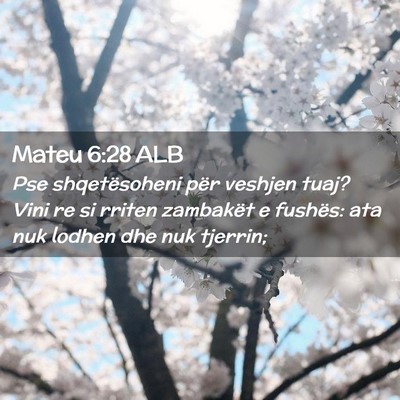 Picture 02 - Mateu 6:28 ALB - Pse shqetësoheni për veshjen tuaj? Vini re si - Bible Verse Picture