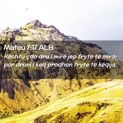 Picture 02 - Mateu 7:17 ALB - Kështu çdo dru i mirë jep fryte të mira; por - Bible Verse Picture