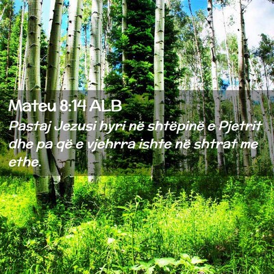 Picture 02 - Mateu 8:14 ALB - Pastaj Jezusi hyri në shtëpinë e Pjetrit dhe - Bible Verse Picture