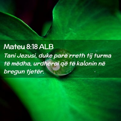 Picture 02 - Mateu 8:18 ALB - Tani Jezusi, duke parë rreth tij turma të - Bible Verse Picture