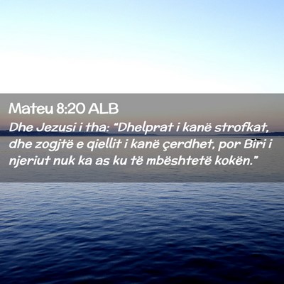 Picture 02 - Mateu 8:20 ALB - Dhe Jezusi i tha: “Dhelprat i kanë strofkat, - Bible Verse Picture