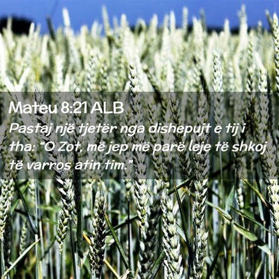Picture 02 - Mateu 8:21 ALB - Pastaj një tjetër nga dishepujt e tij i tha: - Bible Verse Picture