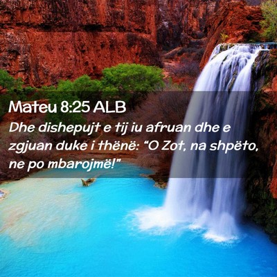 Picture 02 - Mateu 8:25 ALB - Dhe dishepujt e tij iu afruan dhe e zgjuan duke i - Bible Verse Picture