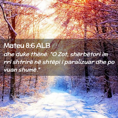 Picture 02 - Mateu 8:6 ALB - dhe duke thënë: “O Zot, shërbëtori im rri - Bible Verse Picture