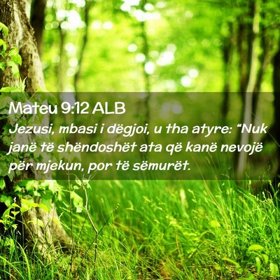 Picture 02 - Mateu 9:12 ALB - Jezusi, mbasi i dëgjoi, u tha atyre: “Nuk - Bible Verse Picture