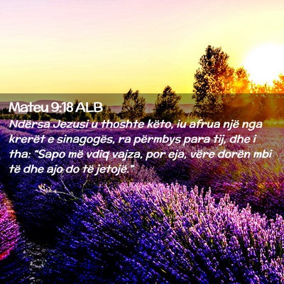 Picture 02 - Mateu 9:18 ALB - Ndërsa Jezusi u thoshte këto, iu afrua një nga - Bible Verse Picture